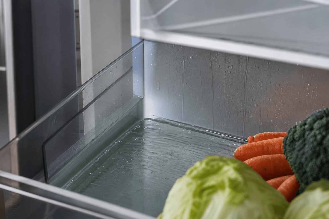Flaque d'eau stagnante au fond d'un réfrigérateur, condensation sur la paroi et légumes frais à côté